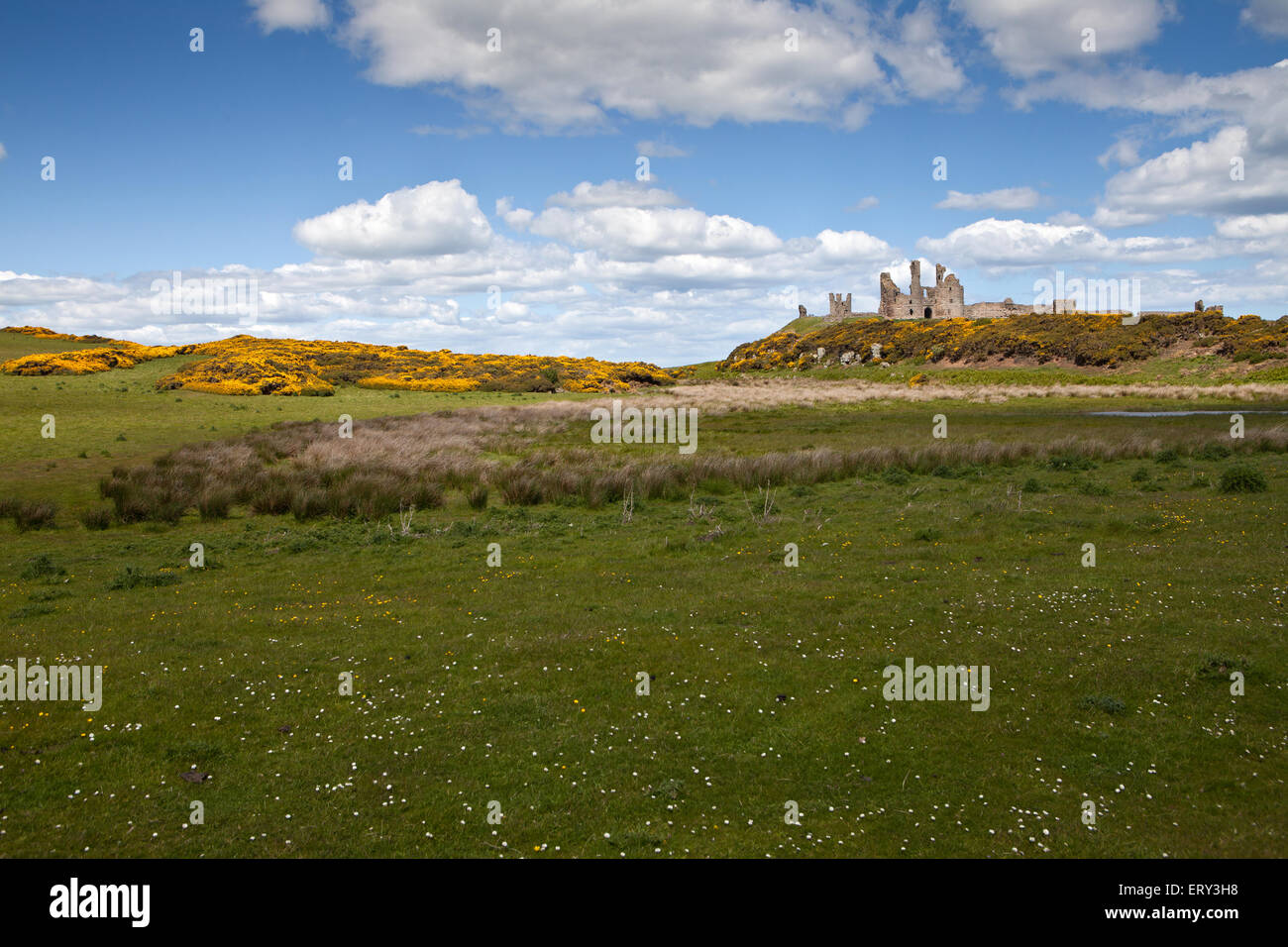 Dunstanburgh Castle, Northumberland Stock Photo Alamy