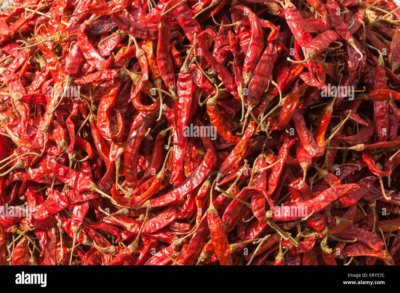 Elk219-2172 Nepal, Patan, vegetable market, chilis Stock Photo