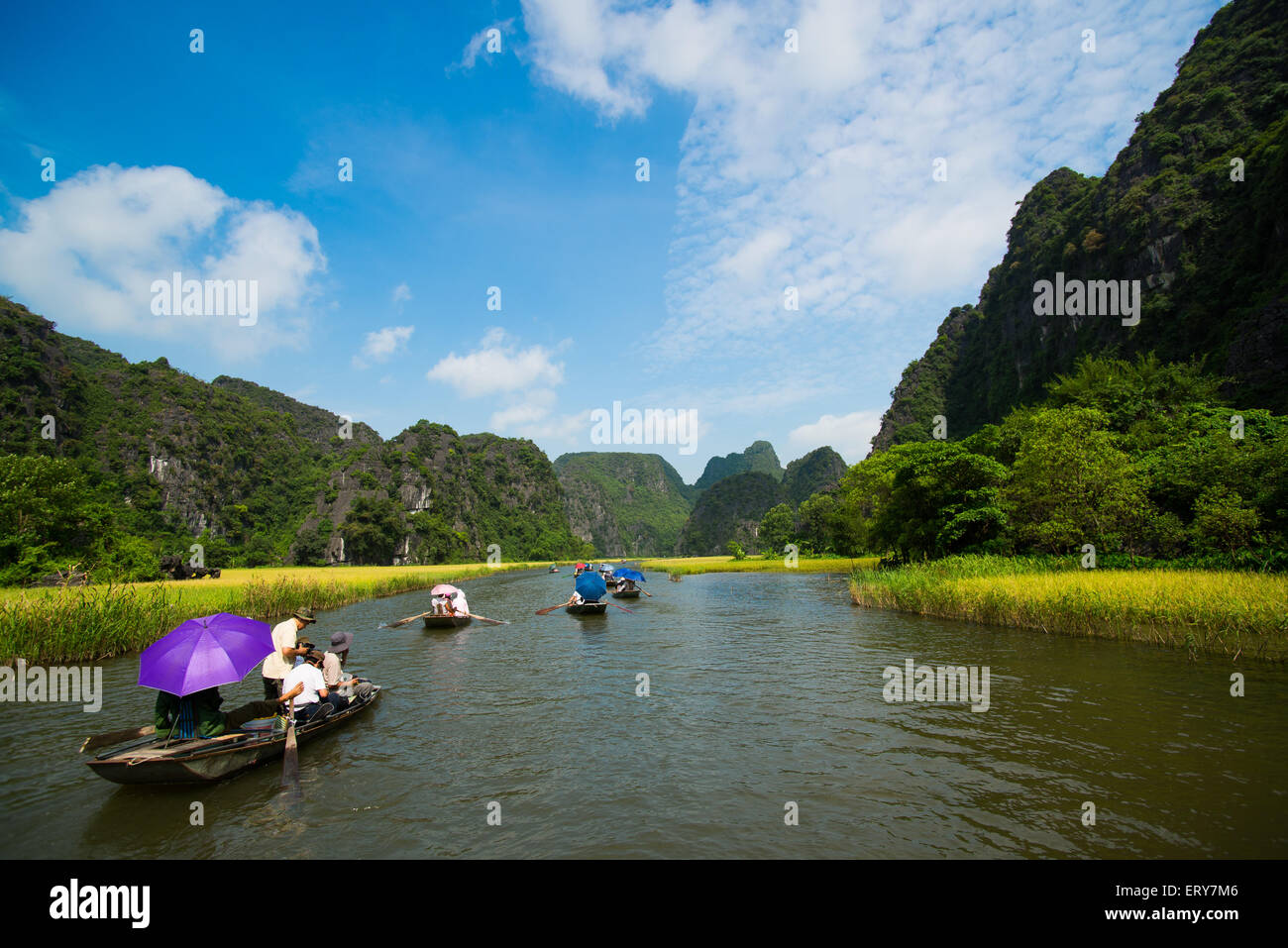 Visitors on boat visit rice field and river in TamCoc, NinhBinh, Vietnam Stock Photo