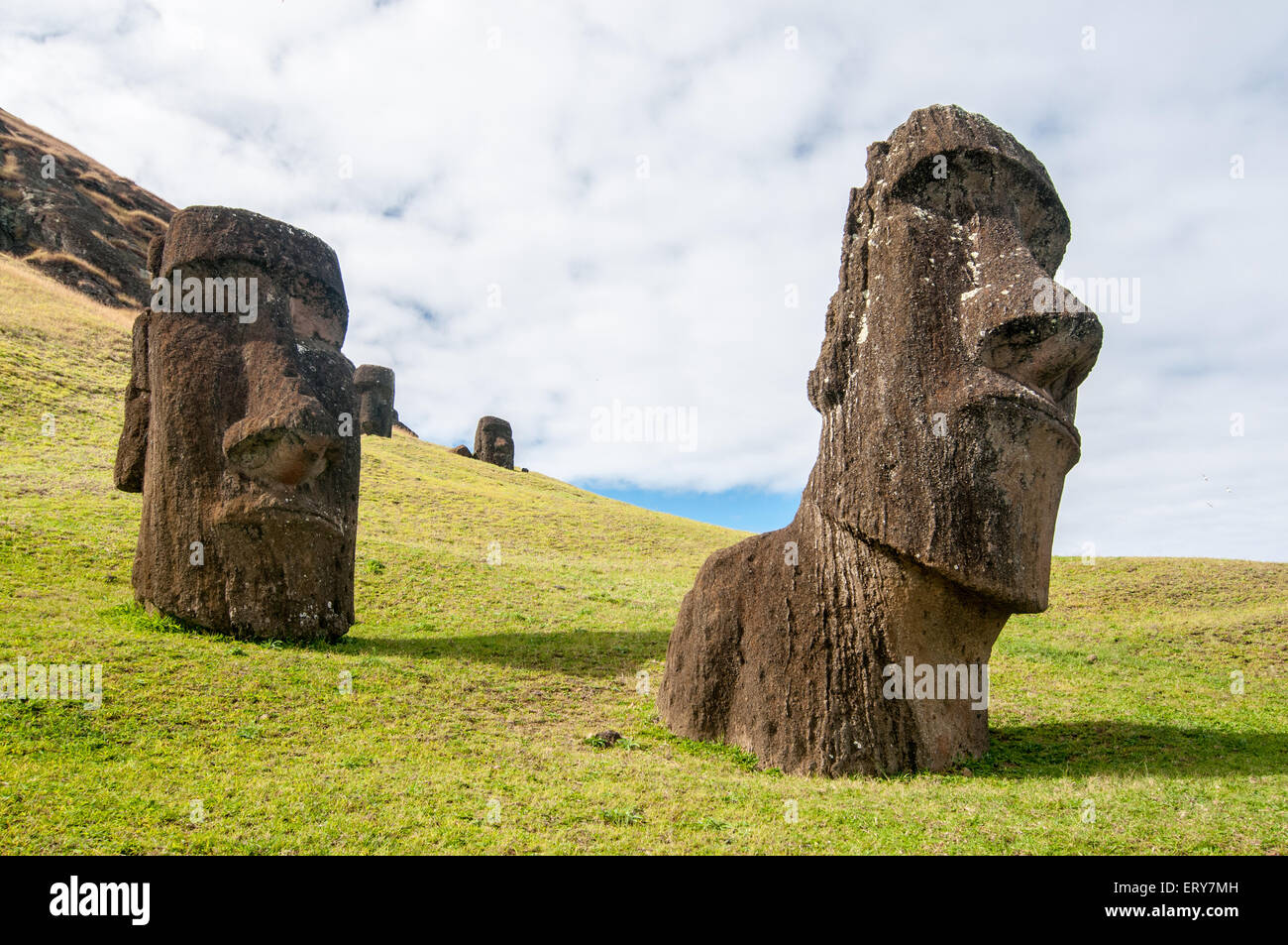Moai dig hires stock photography and images Alamy