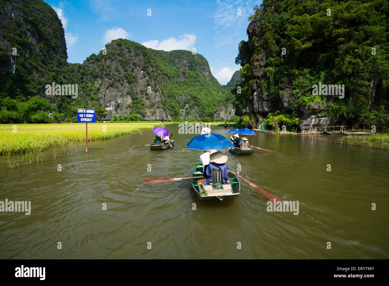 Tourists on boat visit rice field and river in TamCoc, NinhBinh, Vietnam Stock Photo