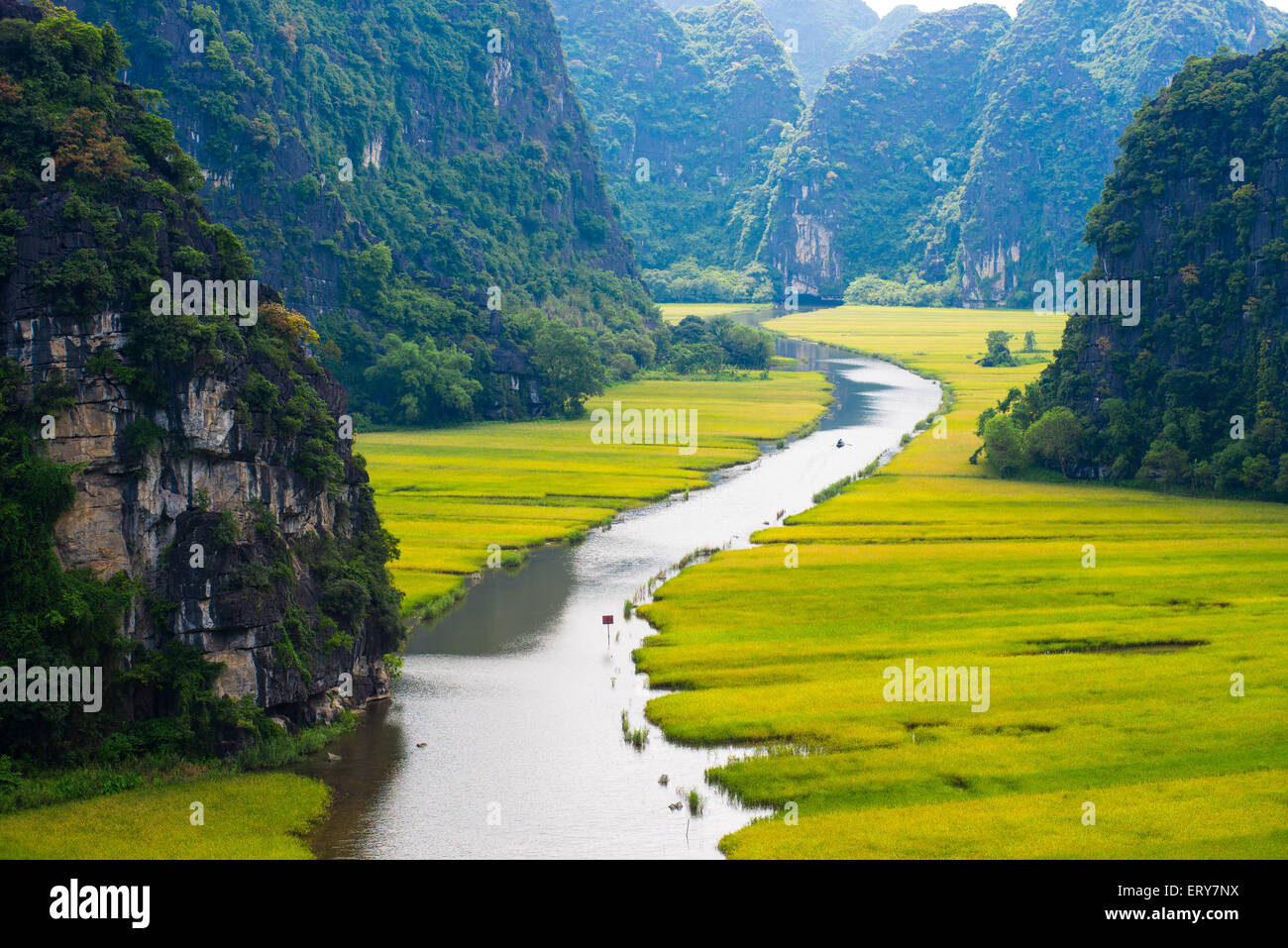 Rice field and river in TamCoc, NinhBinh, Vietnam Stock Photo