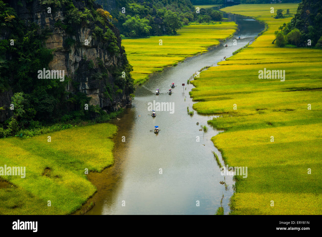 Rice field and river in TamCoc, NinhBinh, Vietnam Stock Photo