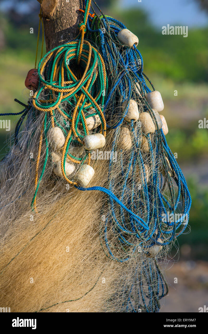 Toy fishing nets hi-res stock photography and images - Alamy