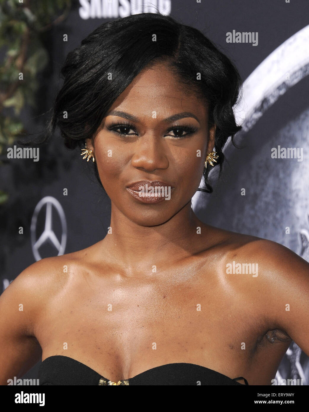 Los Angeles, California, USA. 9th June, 2015. Vanessa Chester attending