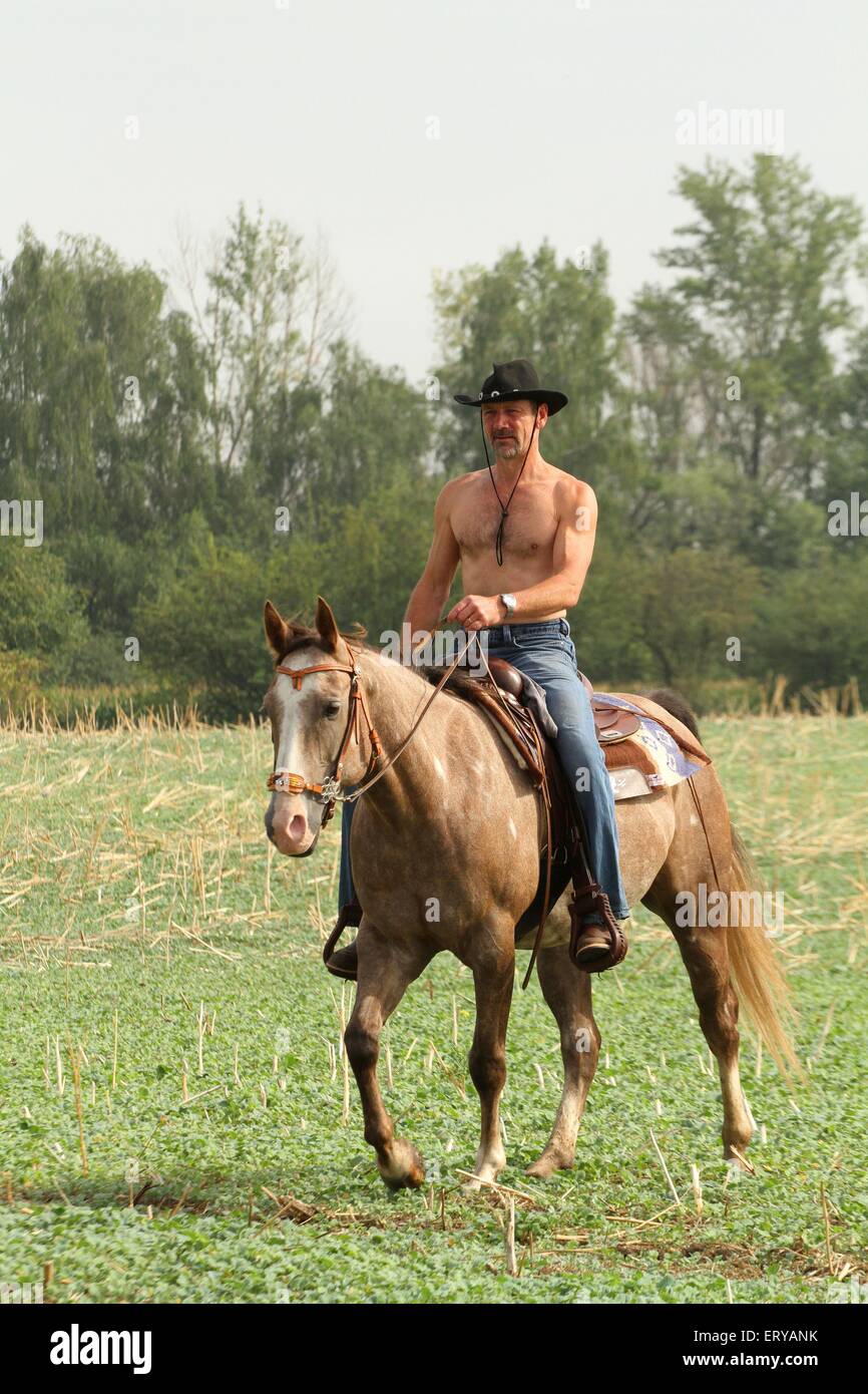 man rides American Paint Horse Stock Photo