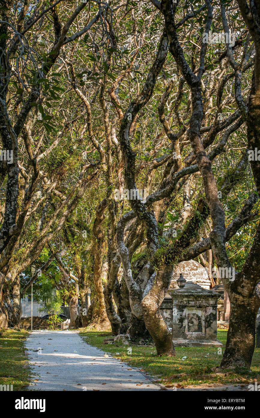 Old protestant cemetery in George Town, Penang, Malaysia Stock Photo