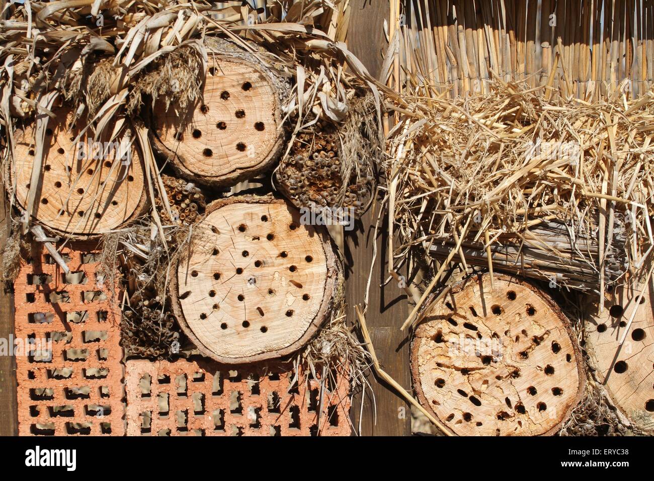 insect hotel Stock Photo