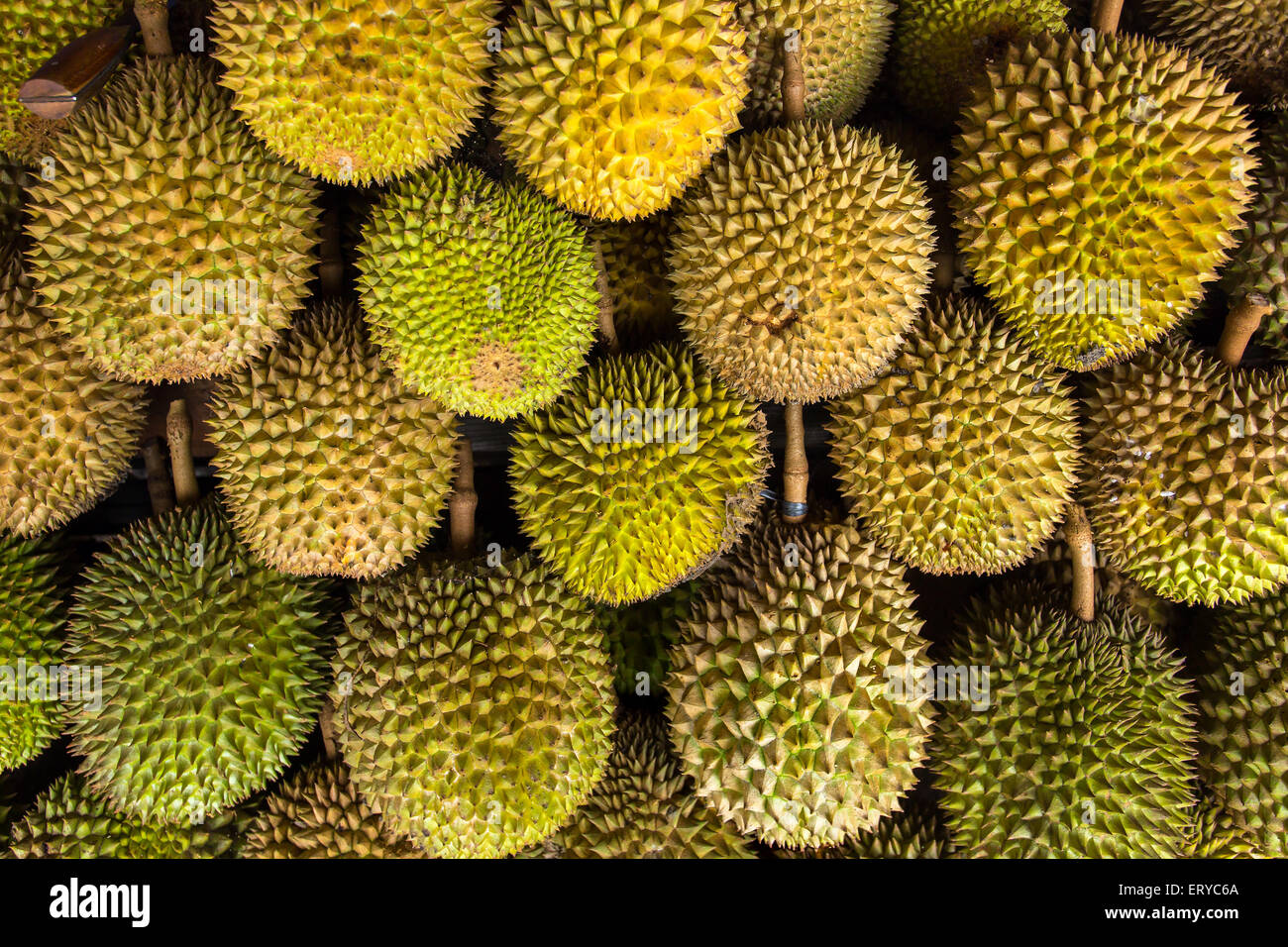 Durian fruits on the market Stock Photo