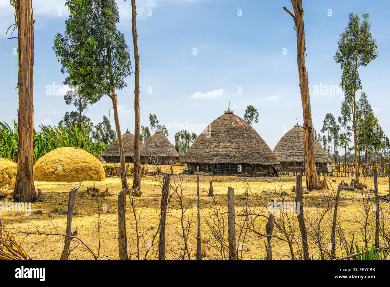 Traditional village houses near Addis Ababa, Ethiopia, Africa Stock Photo