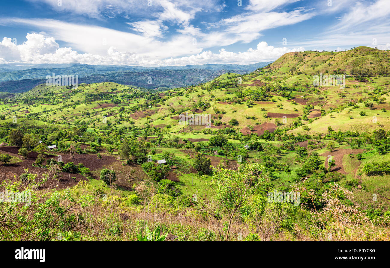 View of the Bonga forest reserve in southern Ethiopia Stock Photo