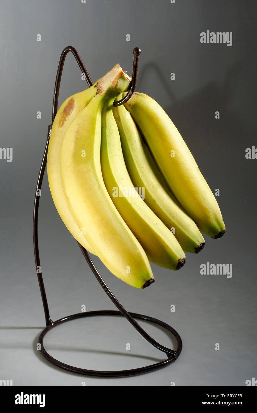 Kitchen things ; fruits ; banana with stand ; Bombay Mumbai ; Maharashtra ; India Stock Photo
