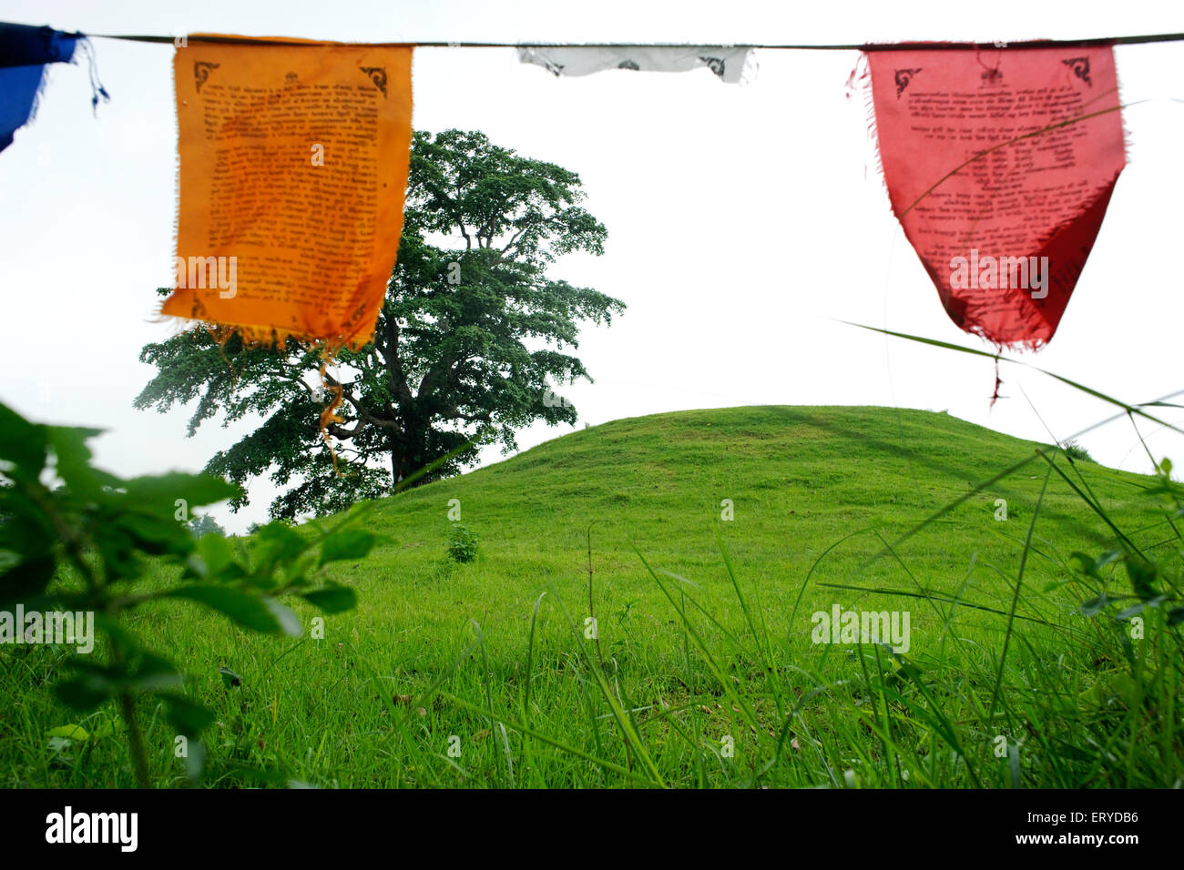 Buddhist prayer flags , Rama Grama Sakyamunybuddha ; UNESCO World Heritage , Lord Buddha birthplace , Lumbini ; Nepal Stock Photo