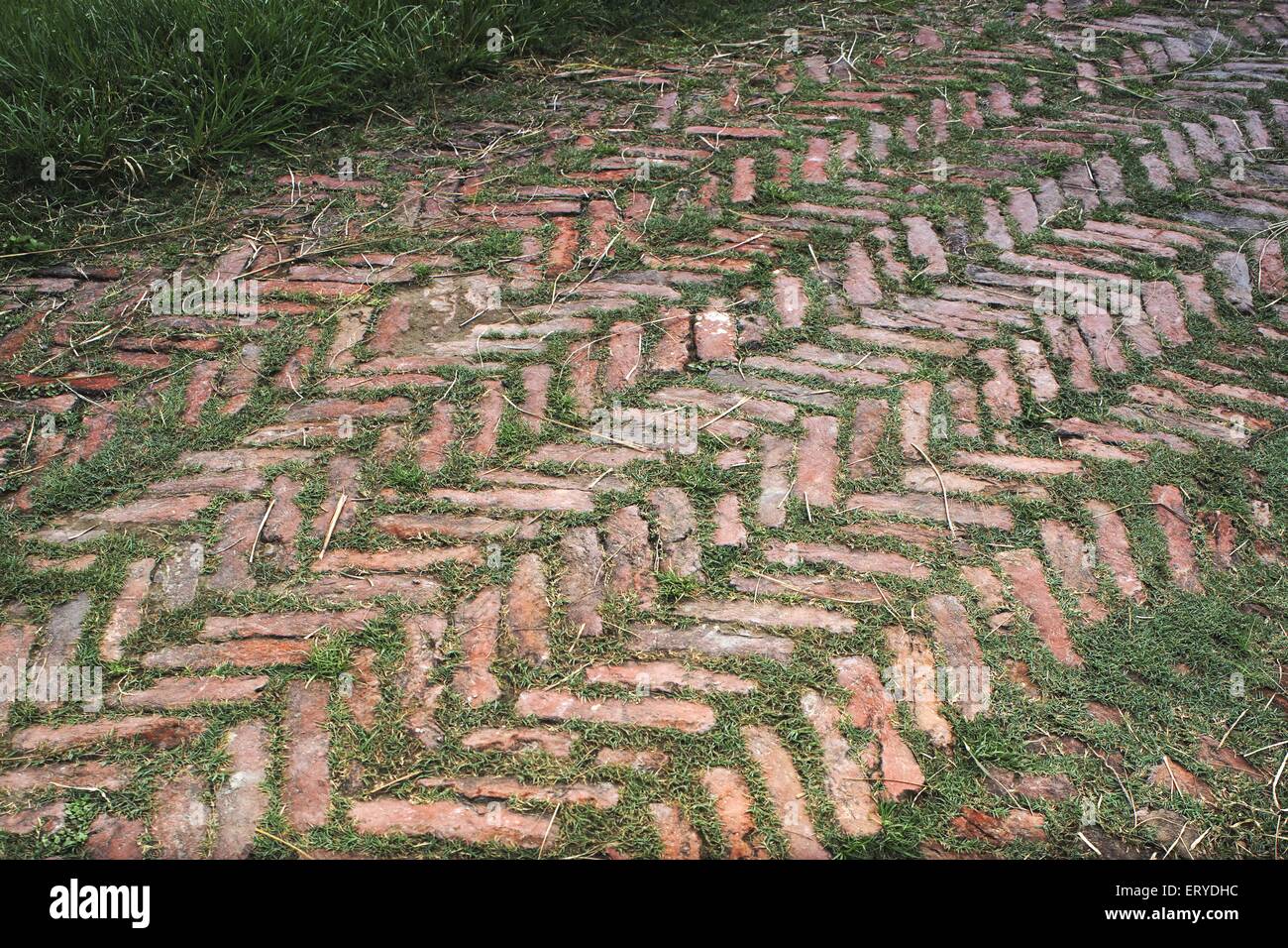 brick path , brick pathway , brick walkway , brick path pattern ; Kesariya , Salimpur ; Bihar ; India , asia Stock Photo