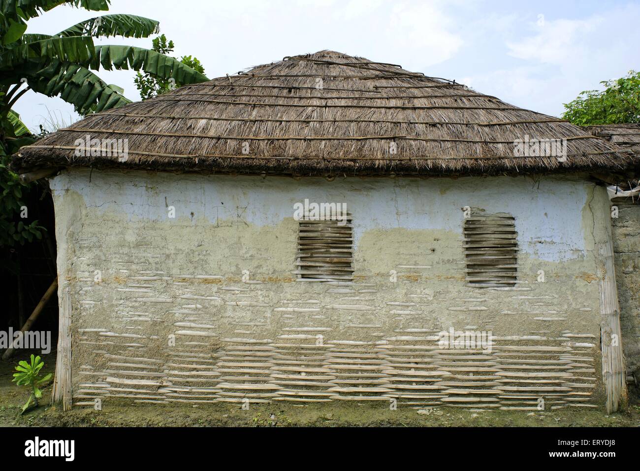 Bamboo house with thatched roof , Vaishali , Kesariya ; Champaran , Bihar ; India , asia Stock Photo