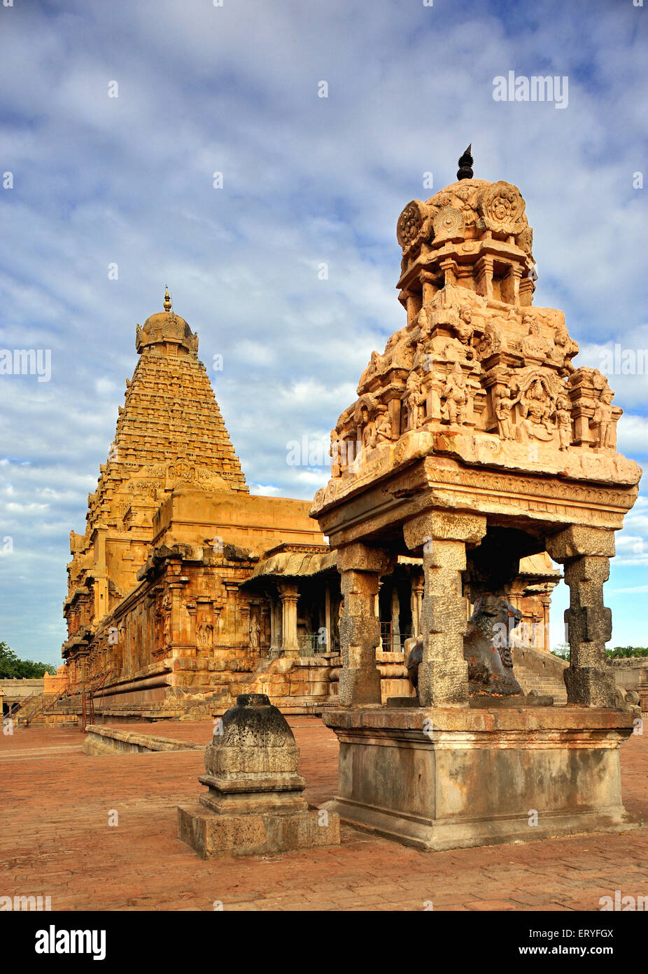 Brihadeshwara temple ; Tanjore Thanjavur ; Tamil Nadu ; India ...