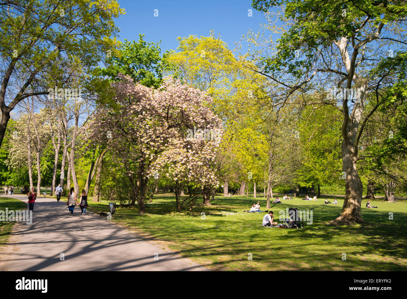 Margaret island budapest hi-res stock photography and images - Alamy