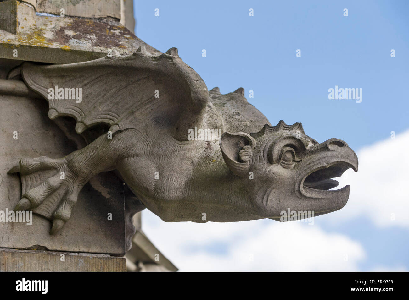 Dragon, gargoyle, Ulm Minster, Ulm, Baden-Württemberg, Germany Stock Photo