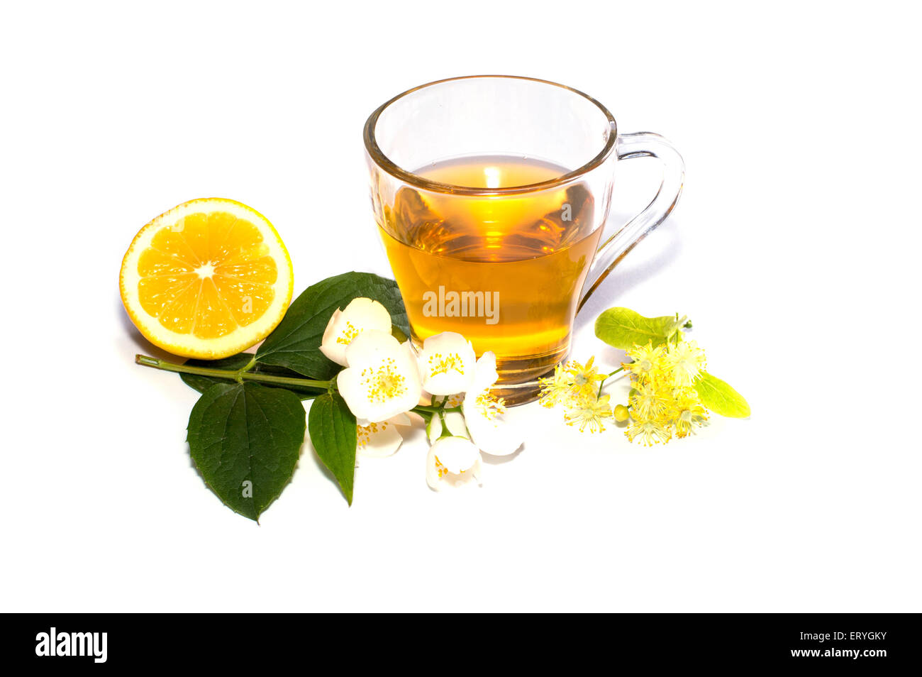 Lime green flower head hires stock photography and images Alamy