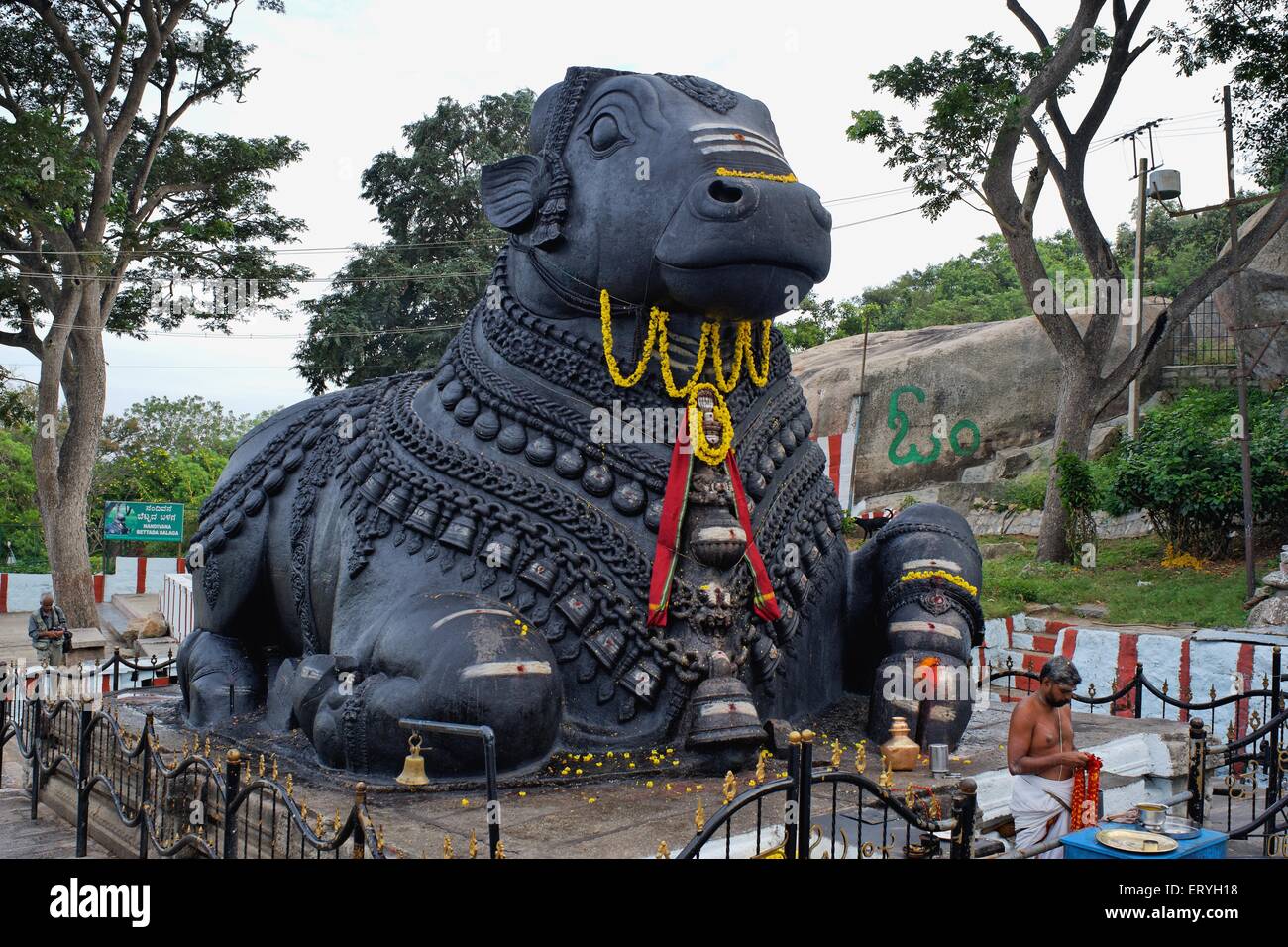 Nandi bull hi-res stock photography and images - Alamy