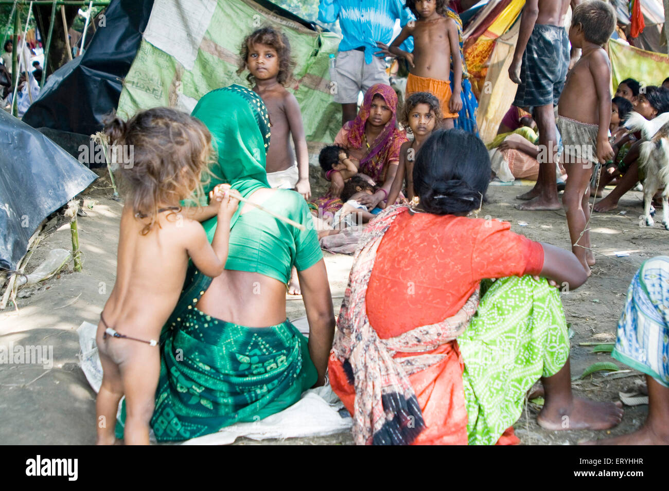 Relief camp , Kosi river flood , Koshi , Purnea , Purnia district , Bihar , India , Asia Stock Photo