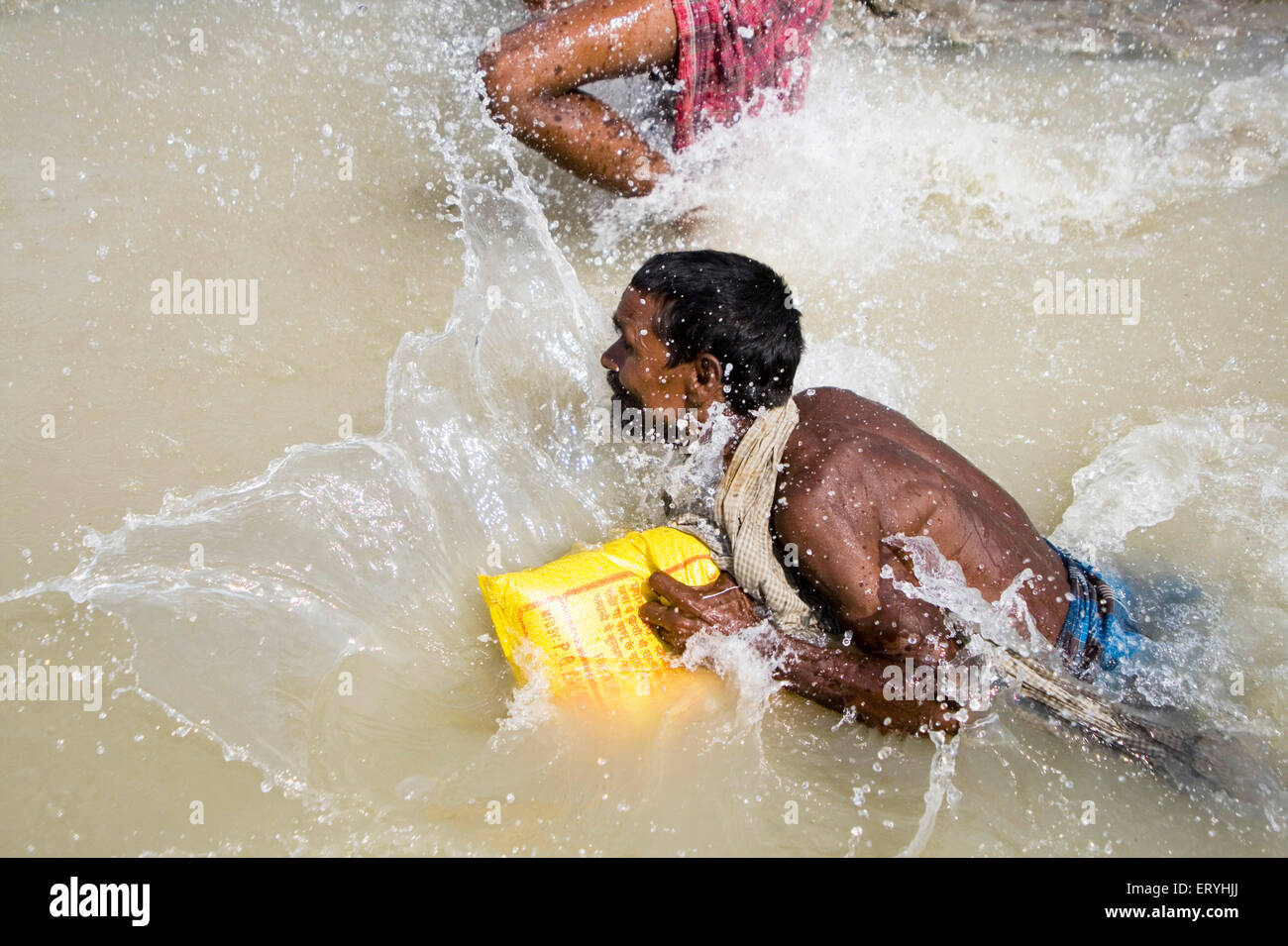 Supply of food package ; Kosi river flood in year 2008 suffered below poverty line people in Purniya ; Bihar Stock Photo