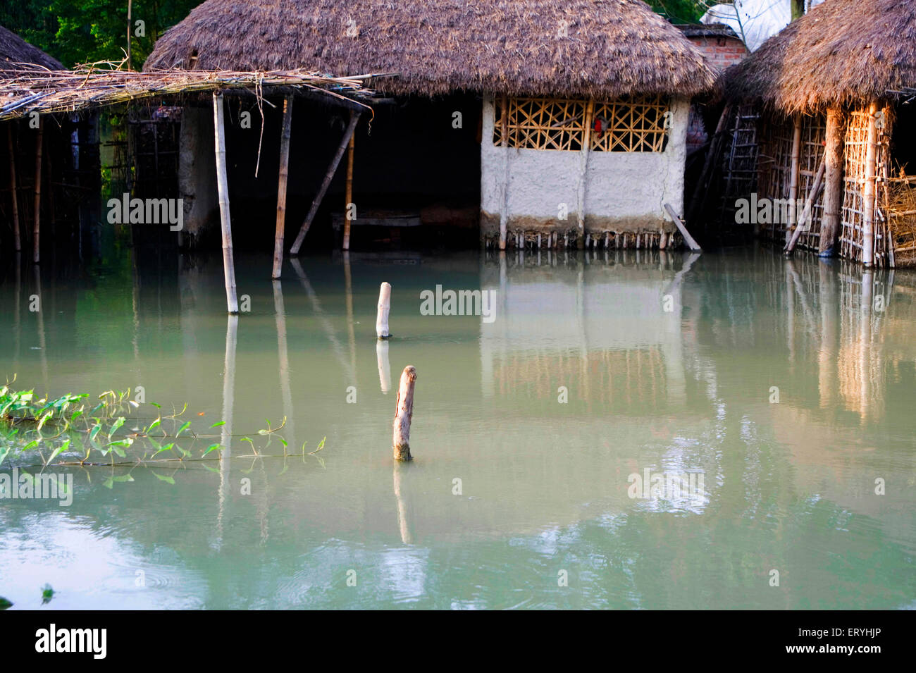 Stilt house india hires stock photography and images Alamy