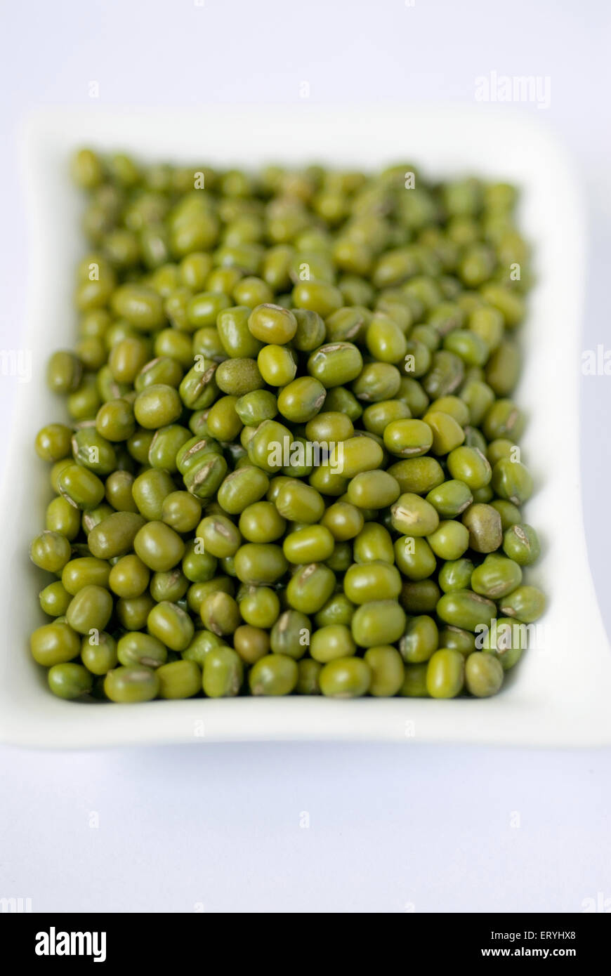 Grains ; green gram phaseolus mungo mung in tray on white background Stock Photo