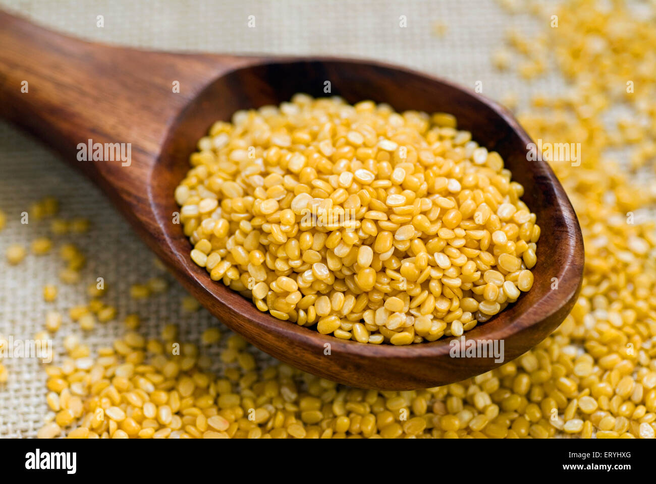 Grains ; moong dal split mung beans phaseolus mungo in wooden ladle Stock Photo
