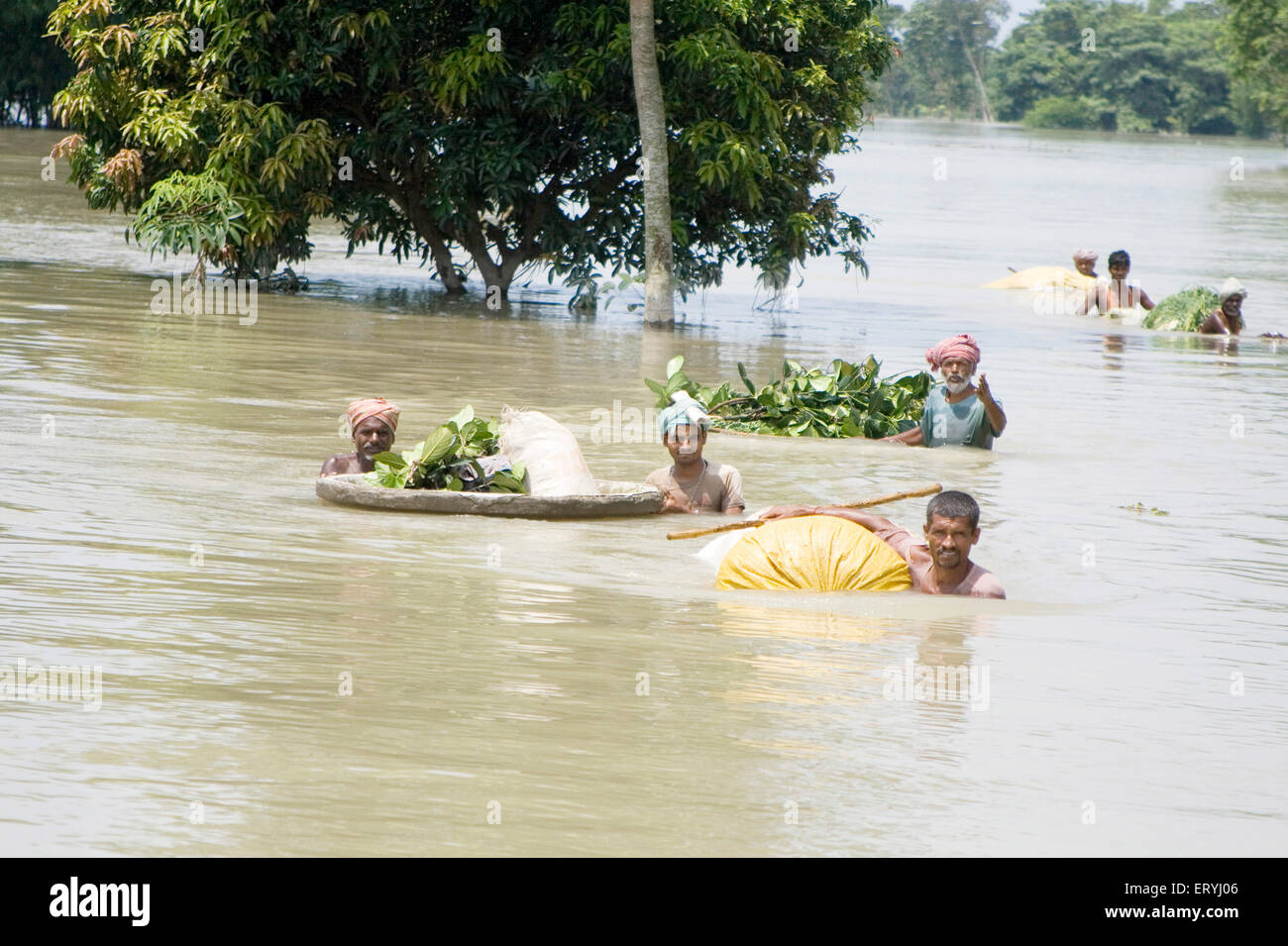 People swimming in flood hi-res stock photography and images - Alamy