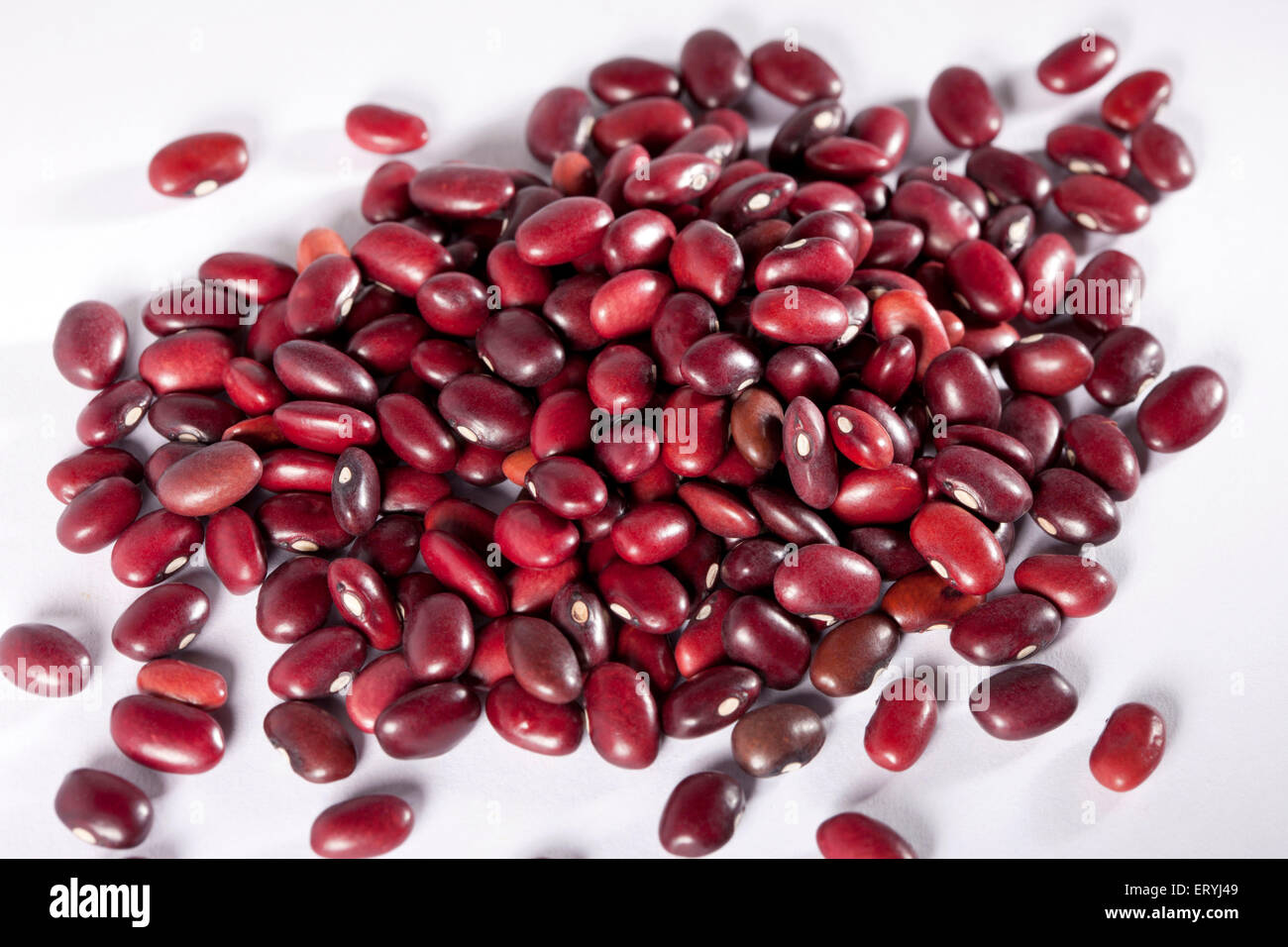 Kidney beans seed India Asia Stock Photo