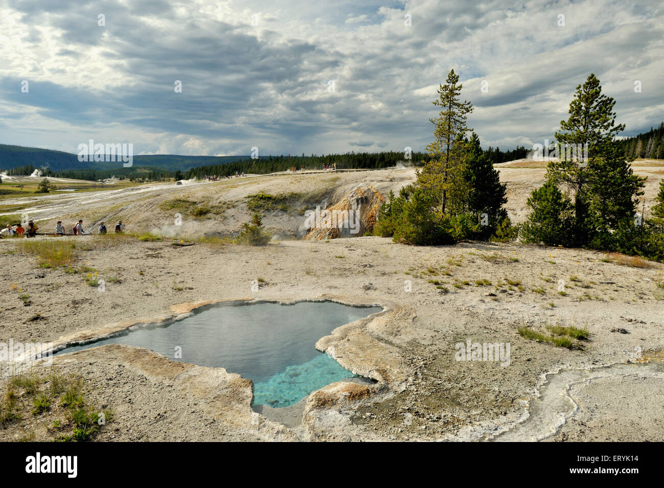 Hot spring , Yellowstone National Park ; Wyoming ; USA , United States of America Stock Photo