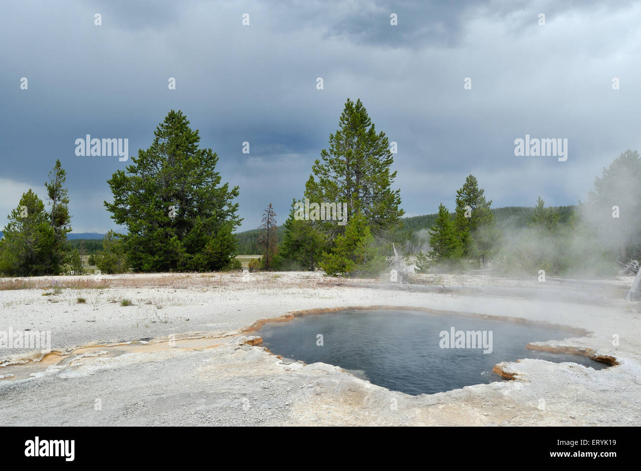 Grand prismatic hot spring ; Yellowstone national park ; Wyoming ; USA United States of America Stock Photo
