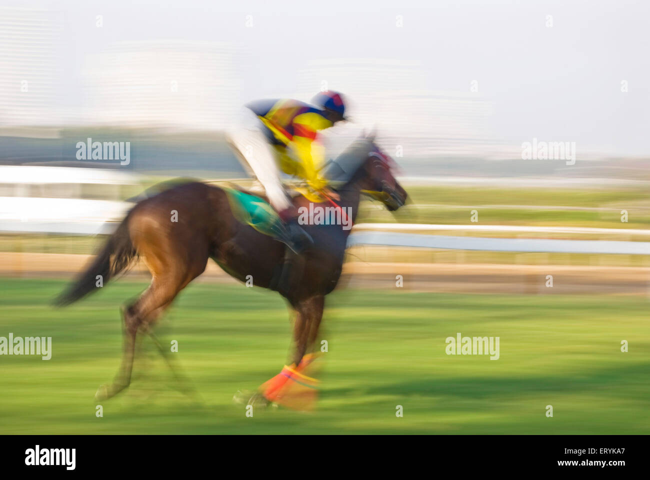 Horses full length jockey hires stock photography and images Alamy