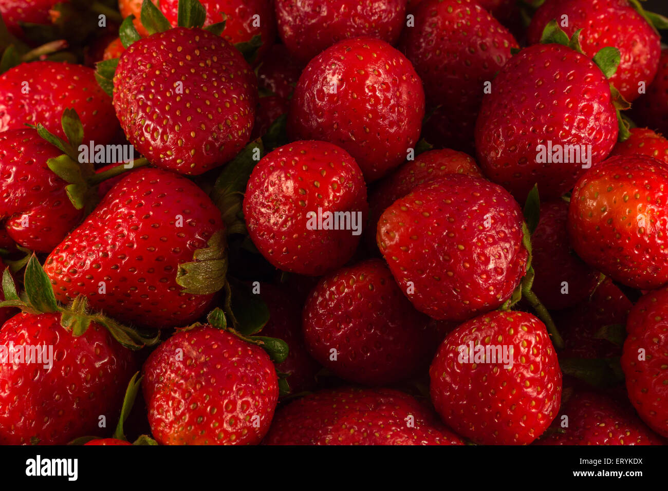 Strawberries garden cover hi-res stock photography and images - Alamy