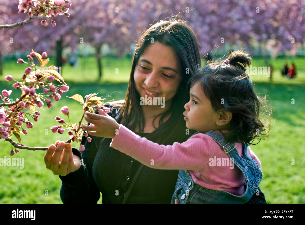 Mother and daughter observing buds of Cherry tree in Botanical Garden ; Brooklyn ; New York ; USA United States of America Stock Photo