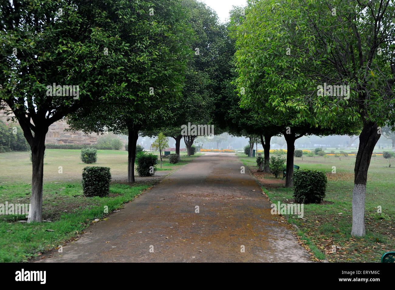 Indian park and garden scene hi-res stock photography and images - Alamy