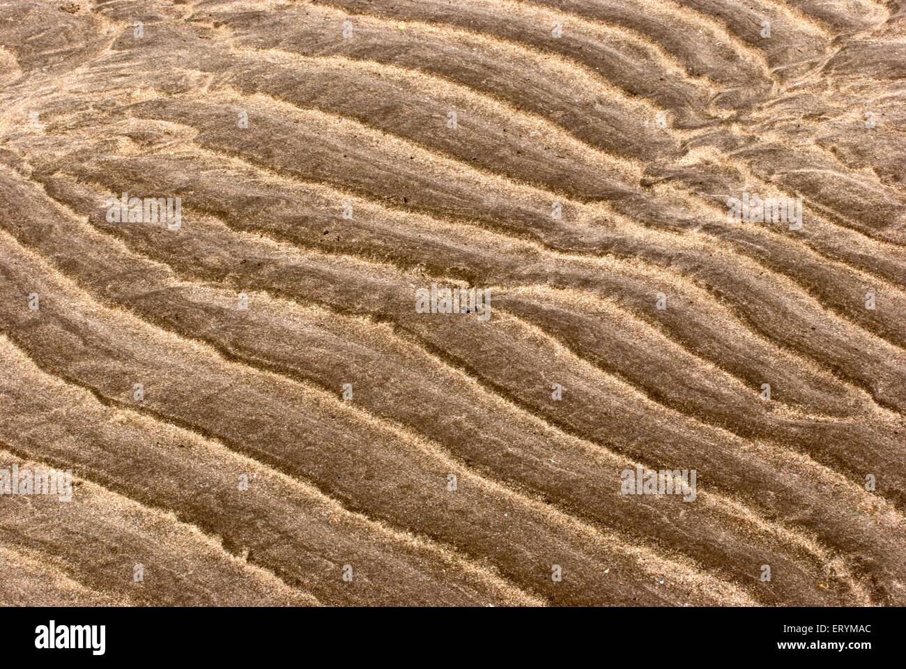 Sand pattern at mandva beach ; Bombay , Mumbai ; Maharashtra ; India , asia Stock Photo