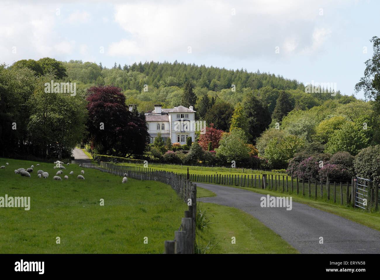 Falcondale hotel hires stock photography and images Alamy