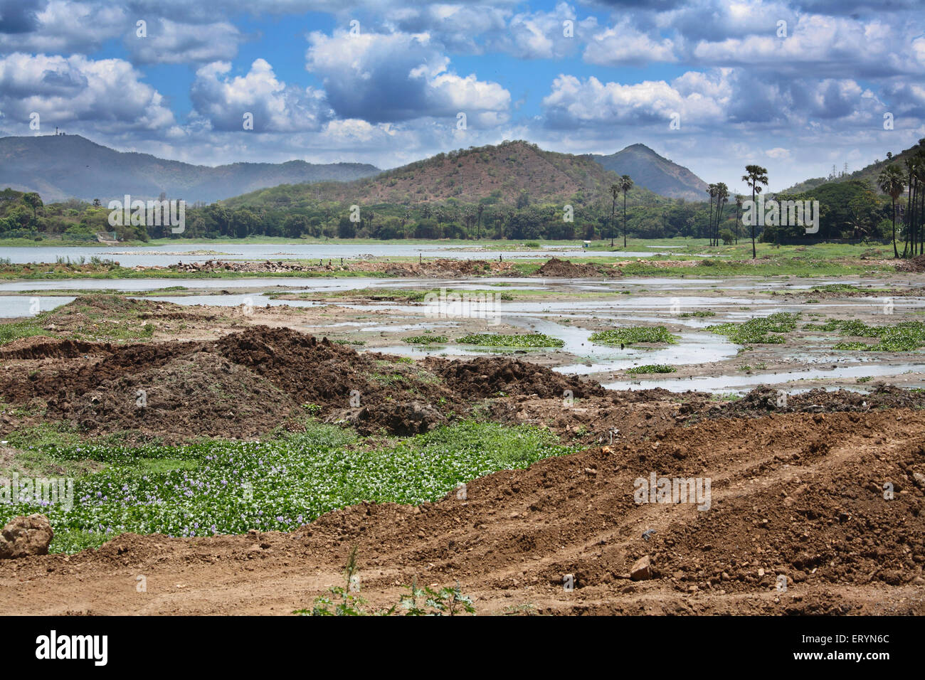 Powai lake ; Powai ; Bombay , Mumbai ; Maharashtra ; India , asia Stock