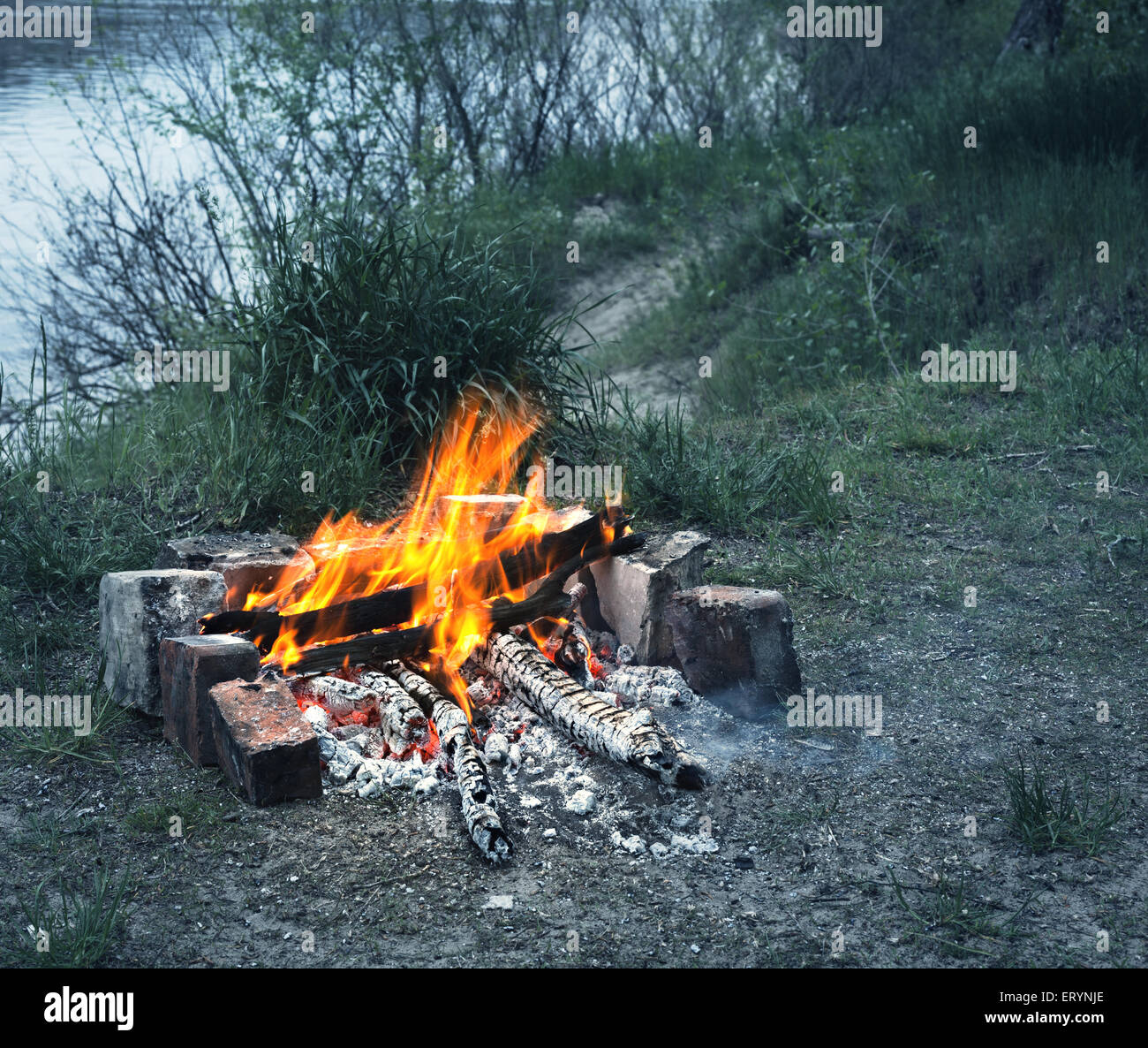 Bonfire in the spring forest. Coals of fire. Twilight in Ukraine Stock Photo