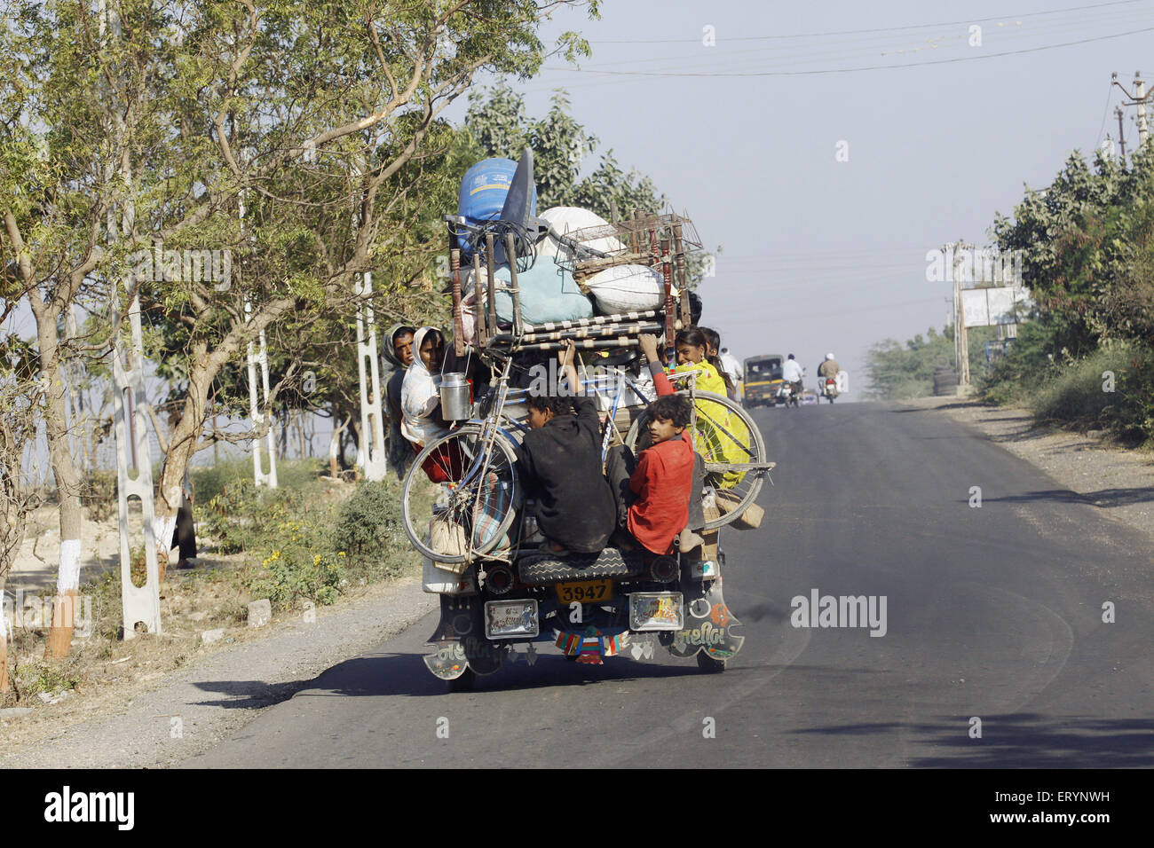 Local residents travel in chakdo ; Porbandar ; Gujarat ; India NOMR Stock Photo