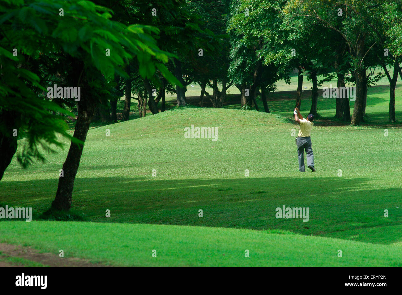 Golfer plays game of golf at BPGC Bombay Presidency Golf Club in Bombay Mumbai ; Maharashtra ; India Stock Photo