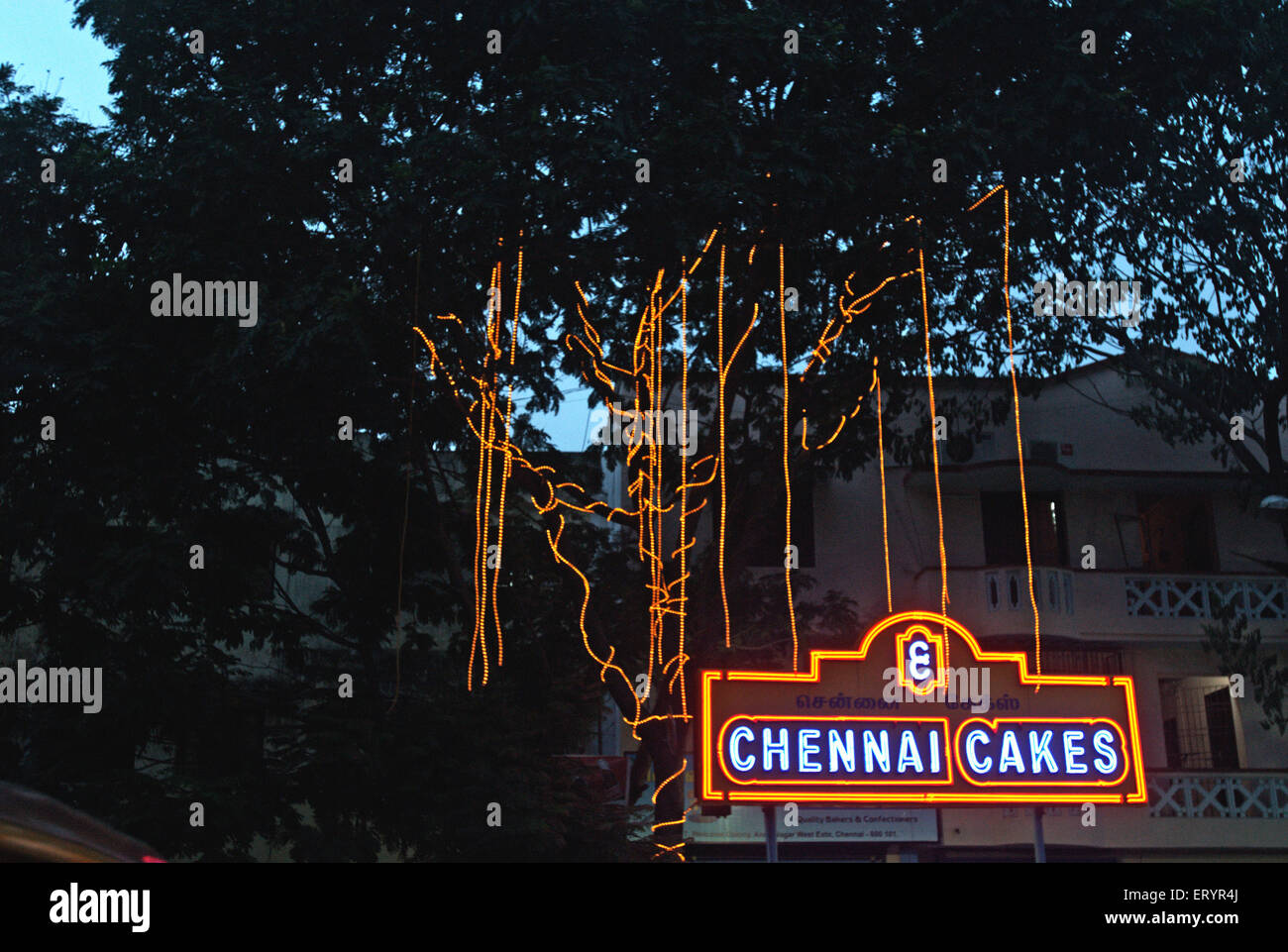 Illuminated tree , Chennai Cakes shop neon sign , Madras , Chennai ; Tamil Nadu ; India , Asia Stock Photo