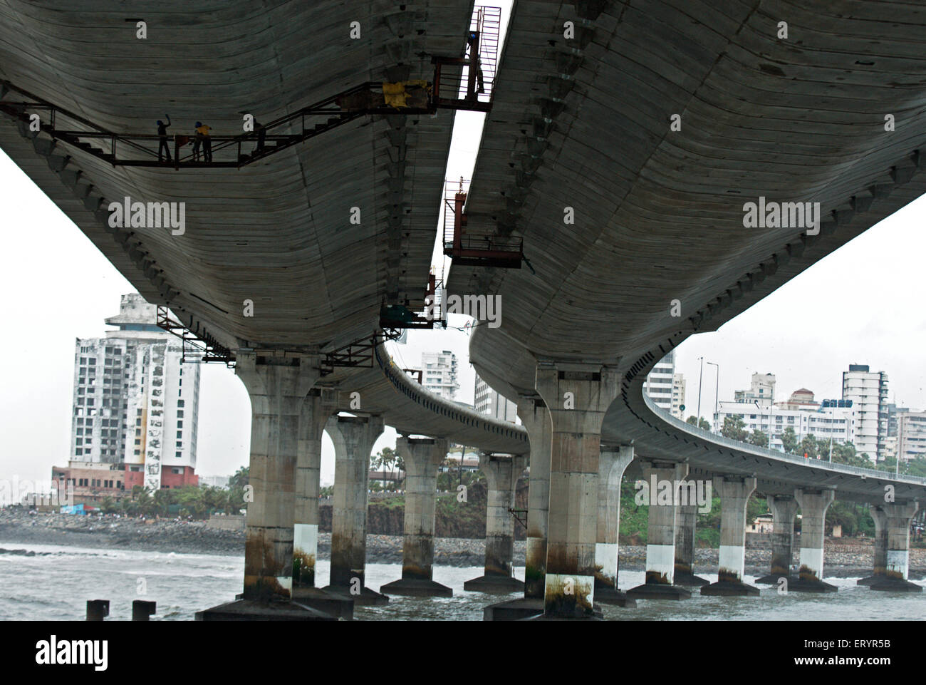 Below Bandra Worli Rajiv Gandhi Sea Link cable stayed bridge , Bombay , Mumbai , Maharashtra , India , Asia Stock Photo