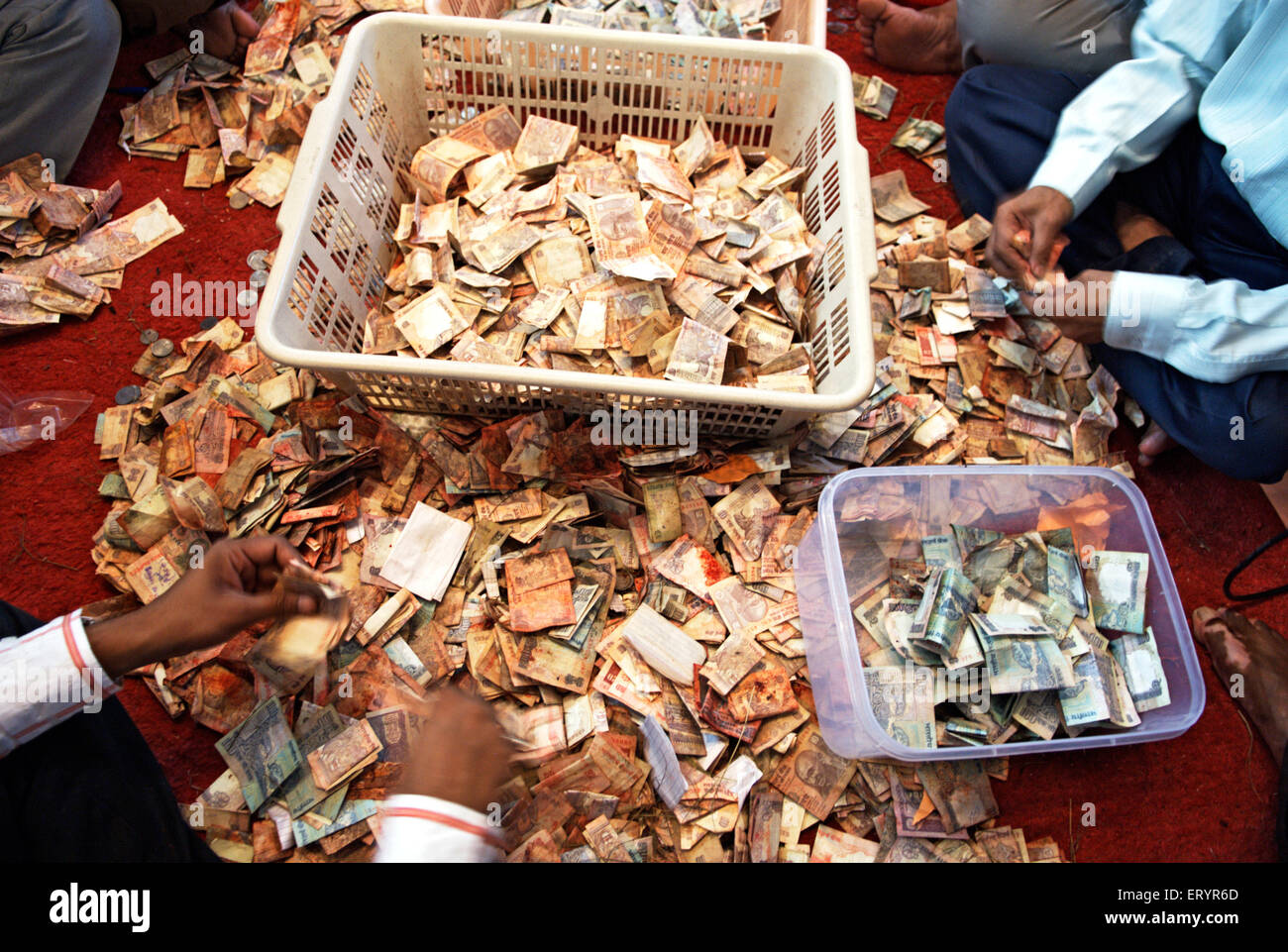 Devotee count cash offering to lalbaug cha raja after ganpati festival ; Bombay Mumbai ; Maharashtra ; India 5 September 2009 Stock Photo