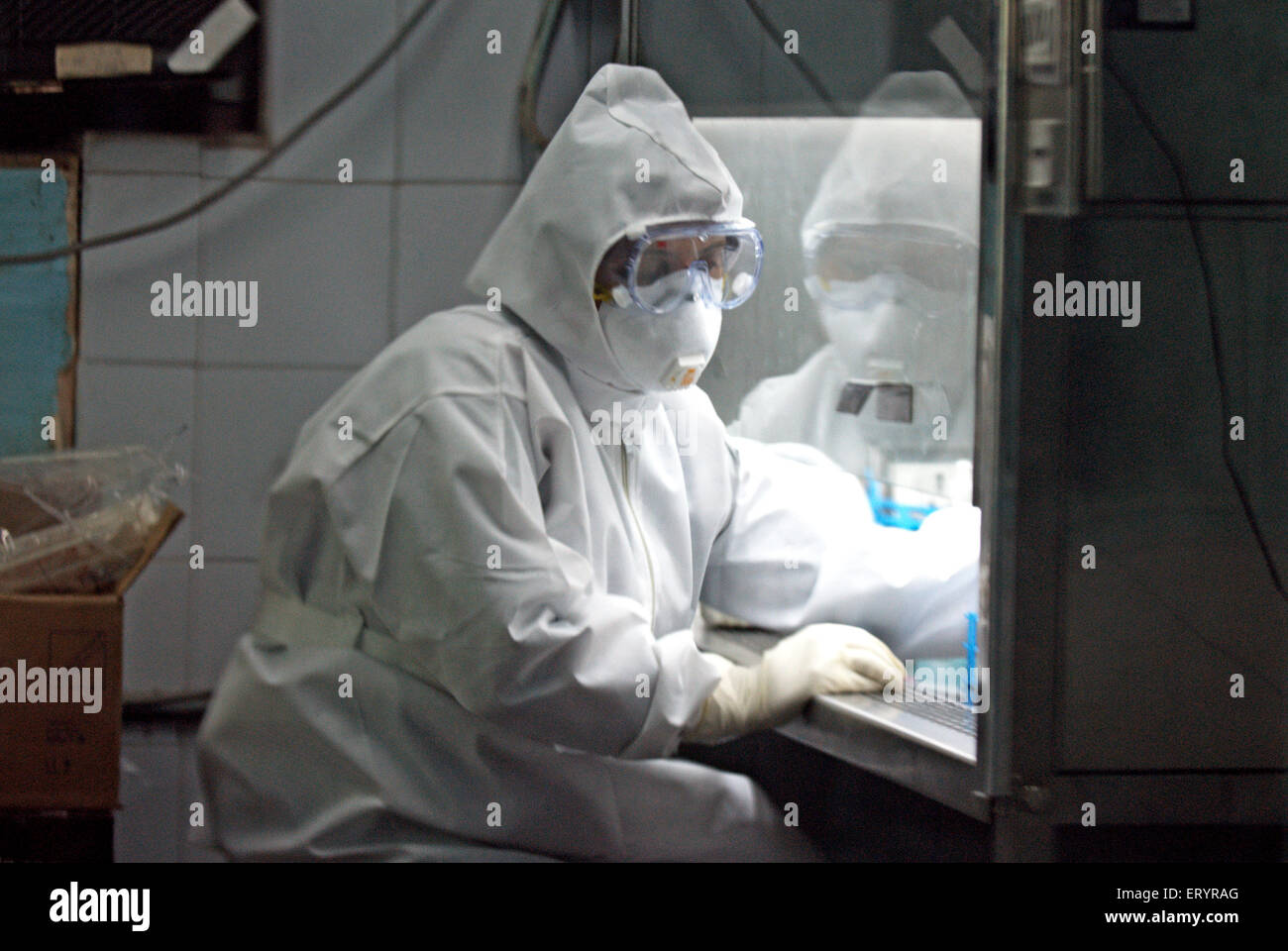 Scientist testing swine flu samples at haffkine institute ; Bombay Mumbai ; Maharashtra ; India 10 August 2009 Stock Photo