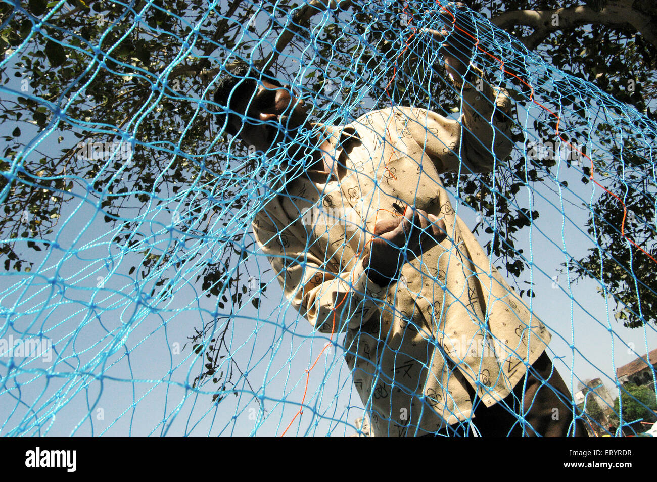 Fisherman repairing fishing net, Sassoon Dock, Bombay, Mumbai, Maharashtra, India, Asia Stock Photo