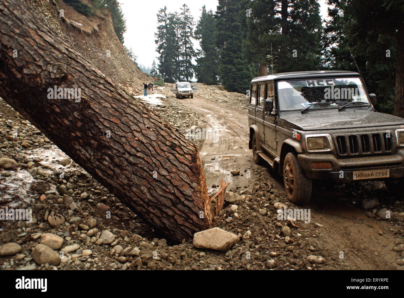 Deforestation for road construction , Mughal Road between Bufliaz , Poonch district to Shopian district , Jammu and Kashmir , India , Asia Stock Photo