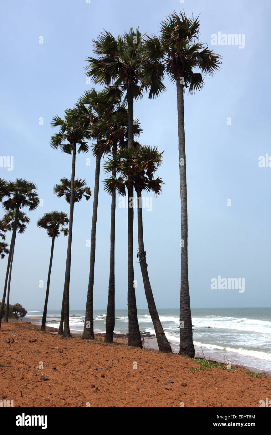 Bheemili Beach , Bheemunipatnam , Bhimlipatam , Bheemli , Bhimili , Visakhapatnam , Vishakhapatnam , Andhra Pradesh , India , Asia Stock Photo